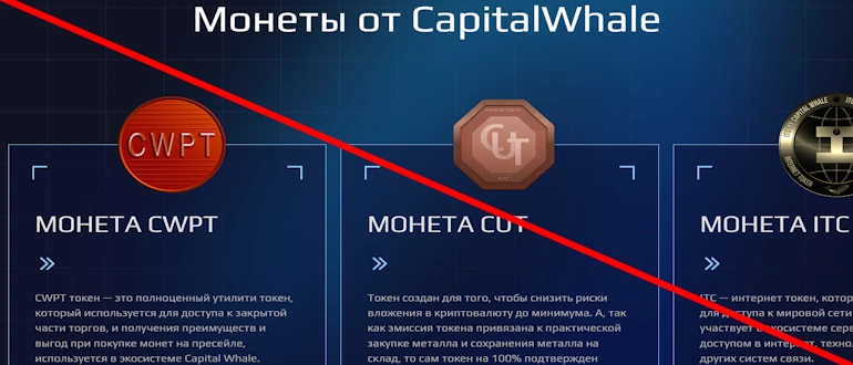 Capital Whale отзывы